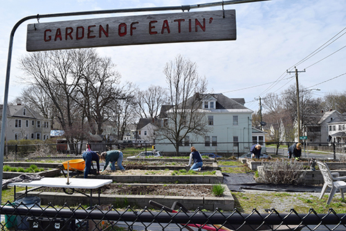 volunteers clean up a community garden