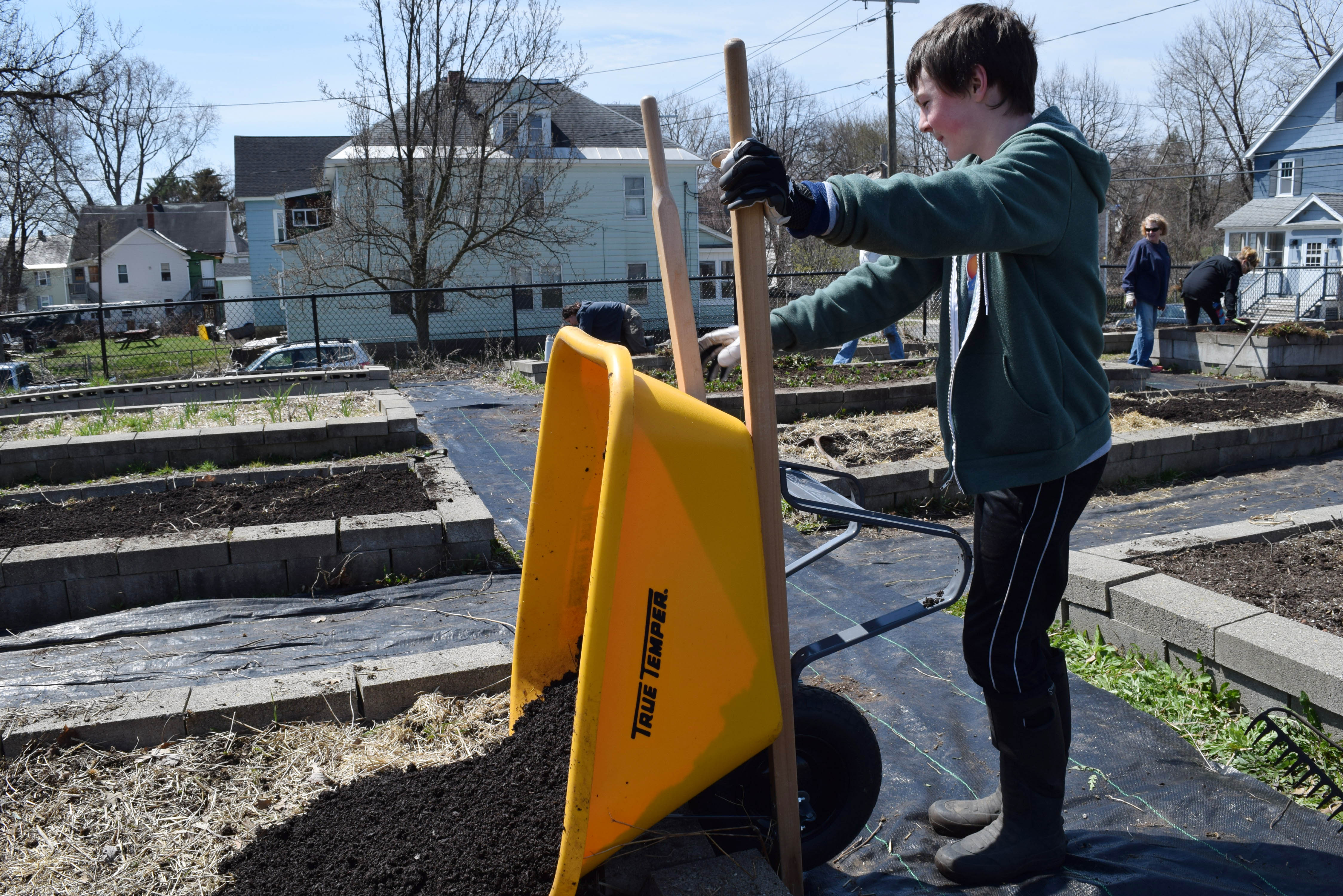 A young volunteer dumps mulch into a garden bed