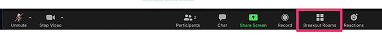 Showing how to enter breakout rooms in Zoom