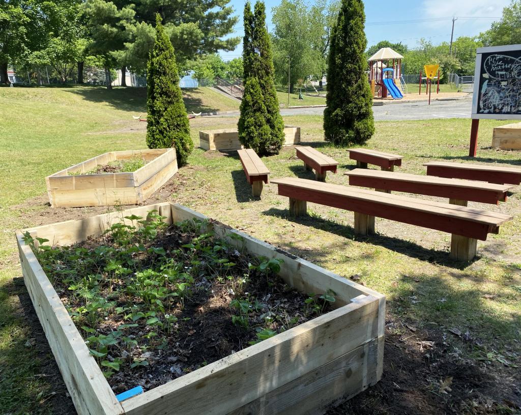 Garden boxes look brand new