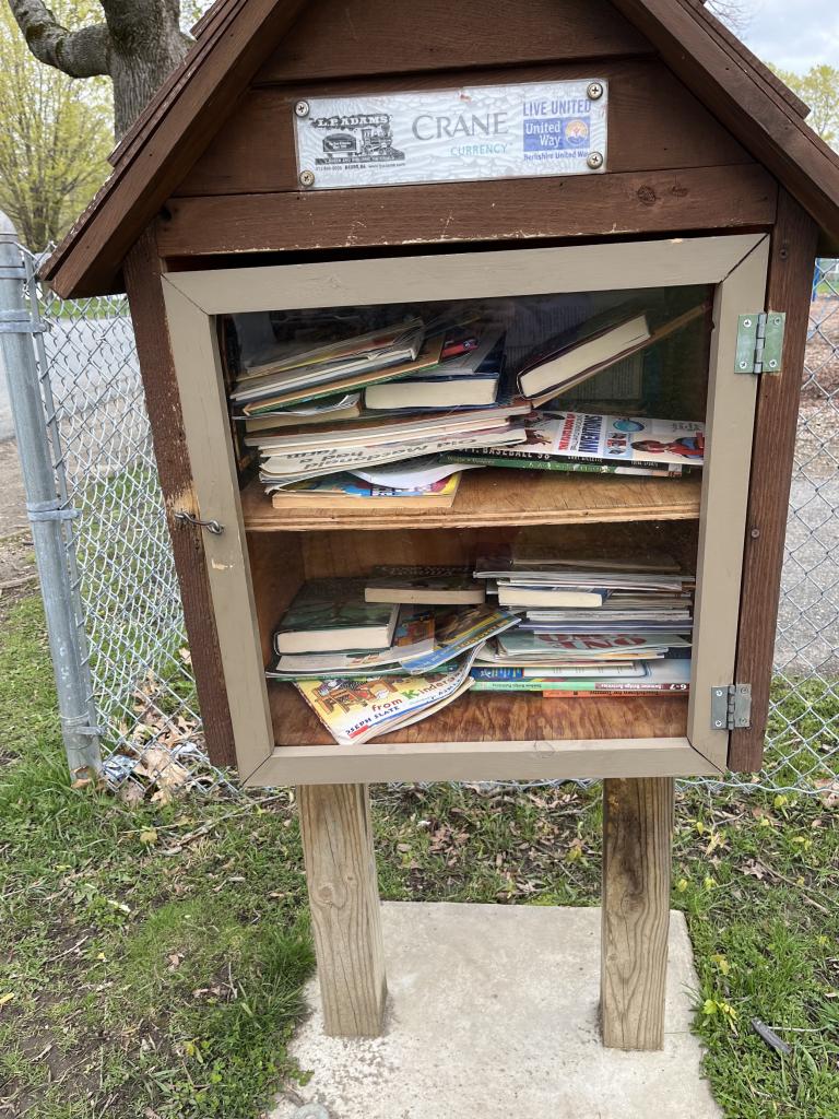 A messy Book House at Pinegrove Park in Dalton