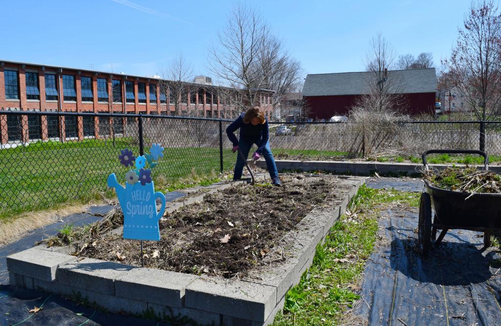 A volunteer digs in a garden bed