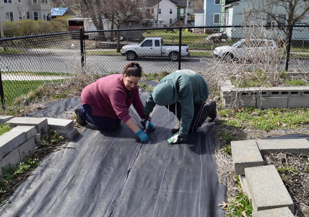 A couple of volunteers lay down new fabric to control weeds