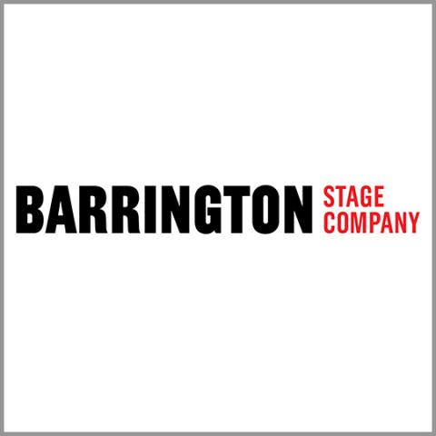 Barrington Stage Company volunteer fair booth logo